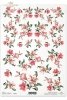 kwiat, kwiaty, lilia, lilie. lilii, ogród, R150, lilie, lilies, flower, flowers, meadow, garden, flores, lirios rosados , Blumen, rosa Lilien 